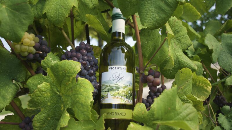 cantina-vicentini-vino-bianco-pigi