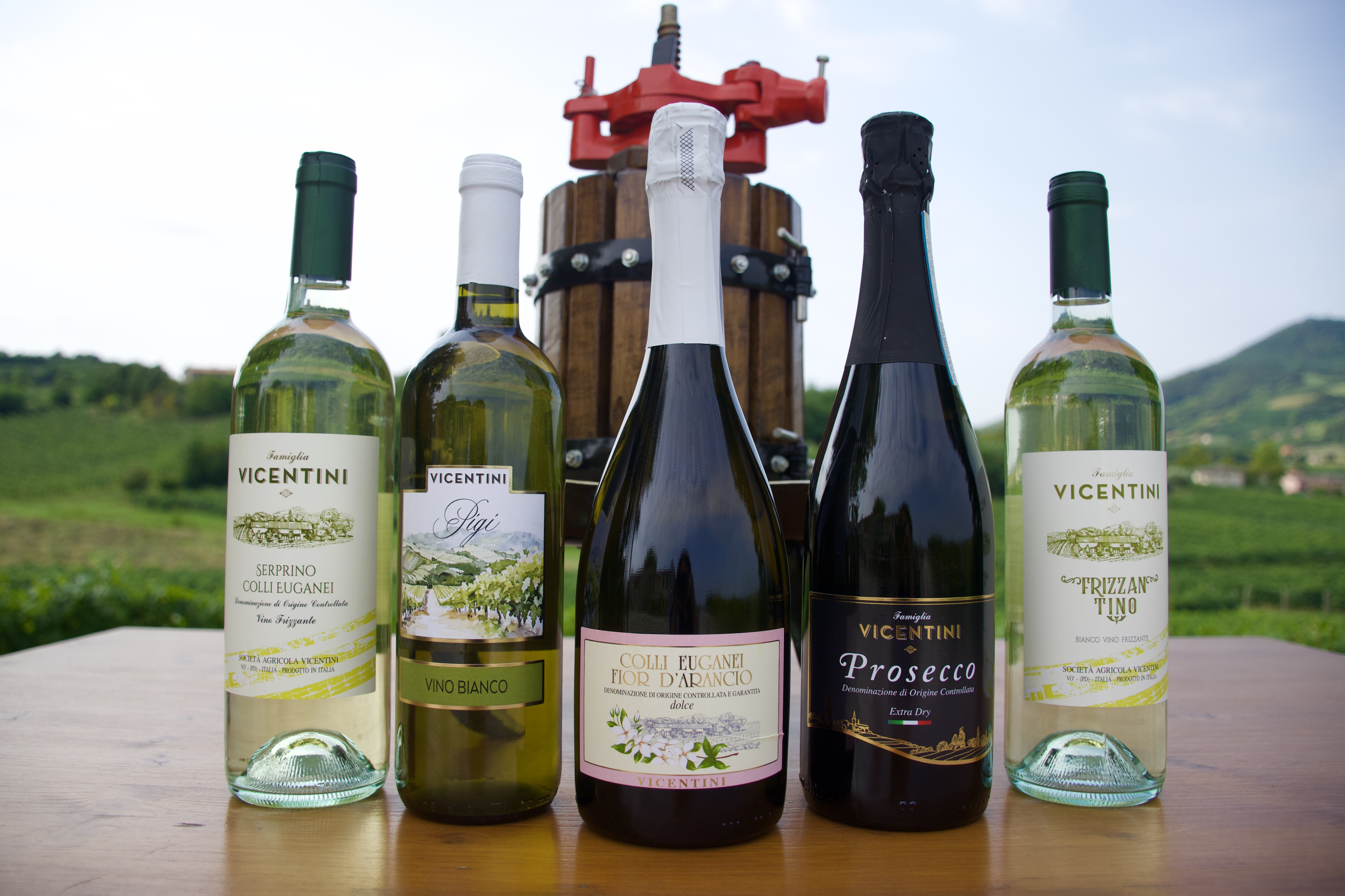 cantina-vicentini-vini-bottiglia-vò-euganeo