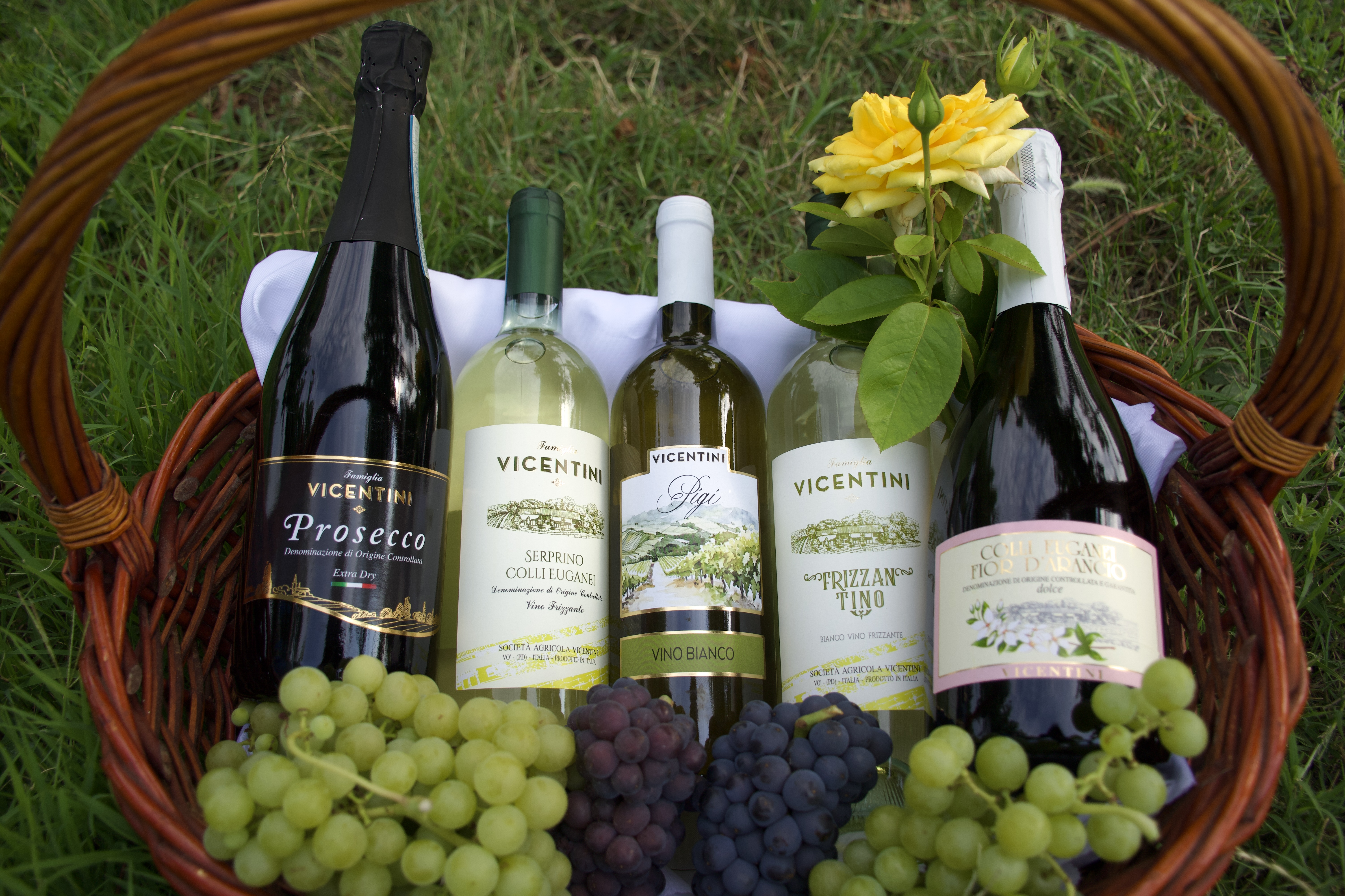 cantina-vicentini-vini-bianchi-2025-5