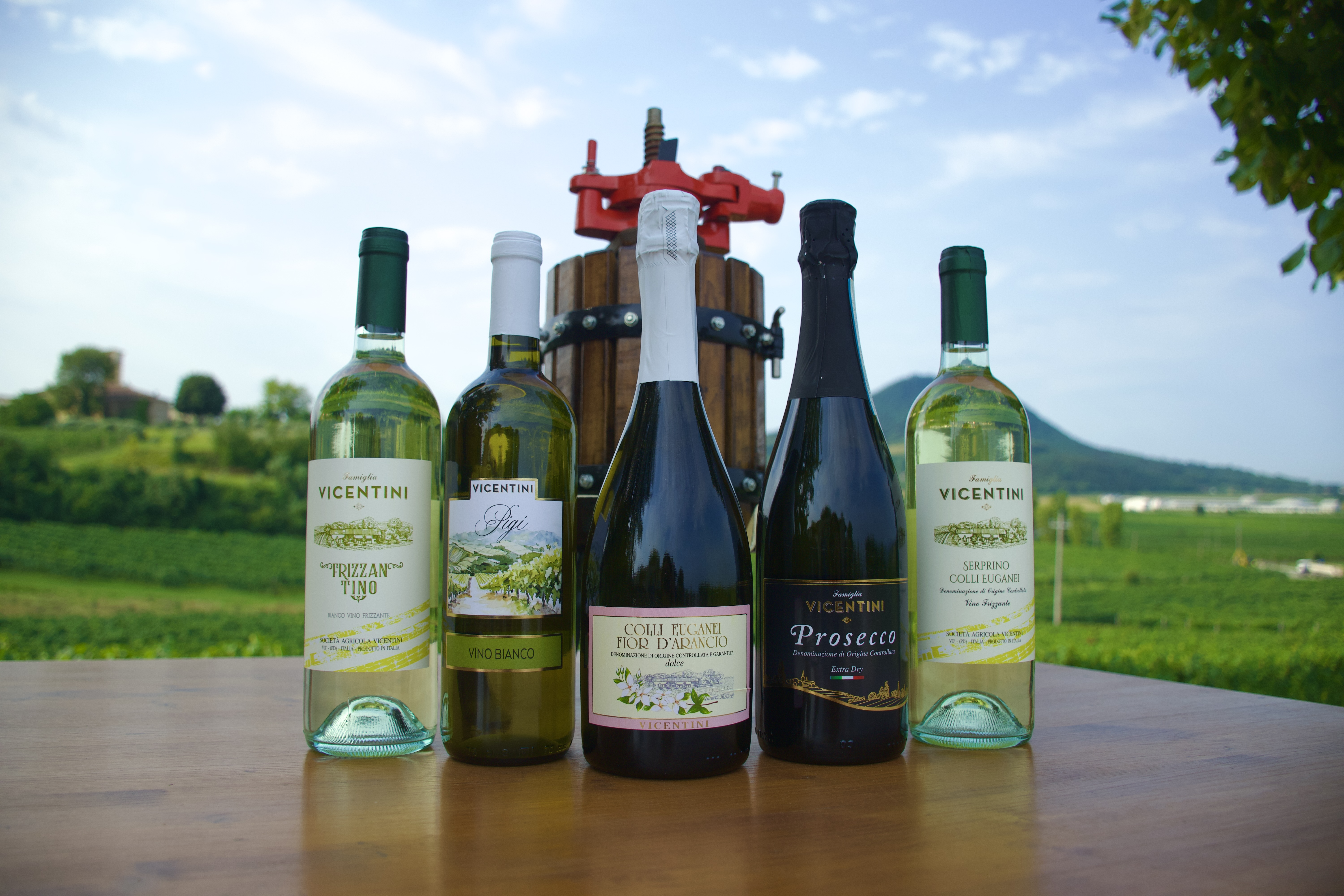 cantina-vicentini-vini-bianchi-2025